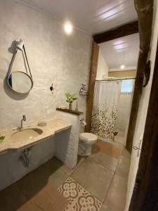 een badkamer met een wastafel, een toilet en een douche bij Pousada Casa Mato in Taubaté