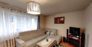 Televízia a/alebo spoločenská miestnosť v ubytovaní Apartment Karkonosz