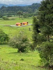 a house in the middle of a field with trees at Cabana Furna dos Pôneis in Urubici
