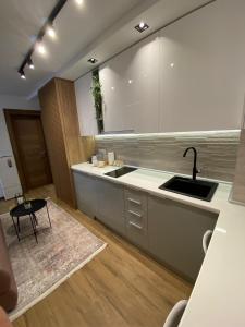 una cucina con lavandino e piano di lavoro di Apartman Krov Divcibare a Divčibare