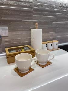 セルビアディヴツィバレにあるApartman Krov Divcibareのカウンターの上にティーカップ2つと花瓶1つ