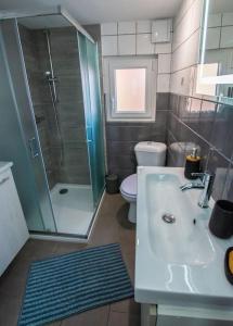 ein Bad mit einem Waschbecken, einer Dusche und einem WC in der Unterkunft Le nid cosy d'Obernai /2min centre ville/parking in Obernai