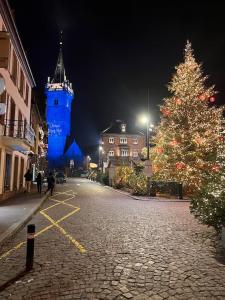 Le nid cosy d'Obernai /2min centre ville/parking في أوبرناي: شجرة عيد الميلاد في شارع مرصوف بالحصى في الليل