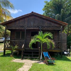 a cabin with a palm tree in front of it at Cabaña a la orilla de la laguna in Bacalar