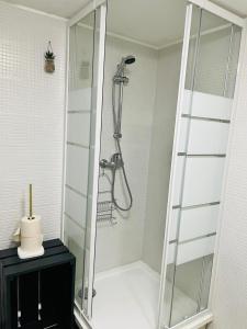 eine Dusche mit Glastür im Bad in der Unterkunft Duplex charmant au coeur de Levroux in Levroux