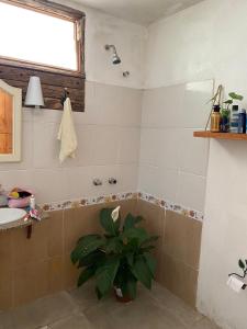 a bathroom with a tub and a plant in it at Pousada Casa Mato in Taubaté