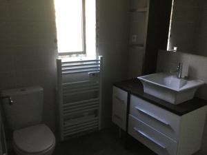 een badkamer met een wastafel, een toilet en een raam bij Petite maison sur jardin secret in Avignon