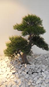 Fotografie z fotogalerie ubytování Hotel GBC Avenida Pontevedra v destinaci Pontevedra