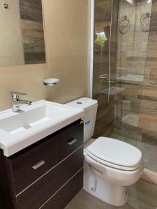 a bathroom with a toilet and a sink and a shower at Complejo 42 in Mar Azul