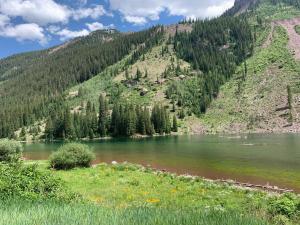 Příroda nedaleko chaty