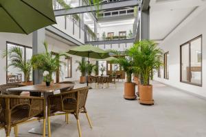 an empty restaurant with tables and chairs and potted plants at Casa Herrmann Suites in Mexico City