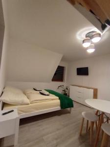 a bedroom with a bed and a table and chairs at Manio Pokoje in Bańska Wyżna