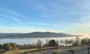 Paesaggio naturale nelle vicinanze dell'appartamento