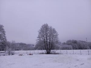 Dolina Sosny v zime