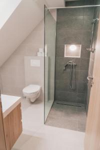 a bathroom with a toilet and a glass shower at Podlipnik Apartments in Rateče