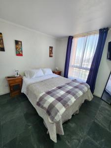 a bedroom with a large bed and a window at Providencia Cercano a Clínicas y Hospitales in Santiago