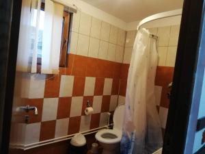 een badkamer met een toilet en een douche bij Casa Radu lui Anghel in Bărbuleţu