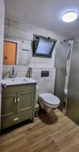 a bathroom with a sink and a toilet and a mirror at השיטה 5 in Rosh Pinna