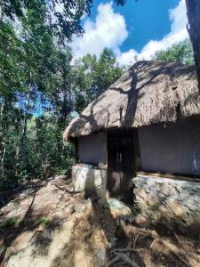 a small hut with a thatched roof at Toto Aiko in Tulum