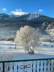 ein Baum im Schnee mit Bergen im Hintergrund in der Unterkunft La Casetta di Bice al Villair di Morgex in Morgex