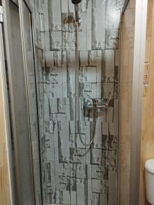 a shower in a bathroom with a glass door at Cabañita Sustentable El Este Cochamó in Cochamó
