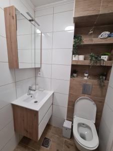 ein Bad mit einem WC und einem Waschbecken in der Unterkunft FRIENDLY HOME in Tuzla