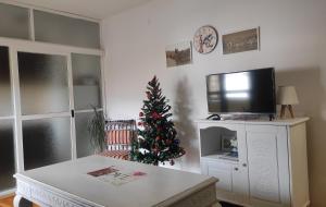 a living room with a christmas tree and a tv at Apartman Biser in Trebinje +21 photos