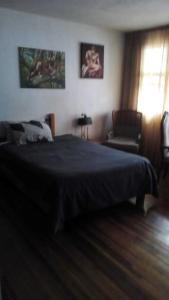 1 dormitorio con 1 cama grande y 1 silla en Dormitorio en Polanco (solo hombres), en Ciudad de México