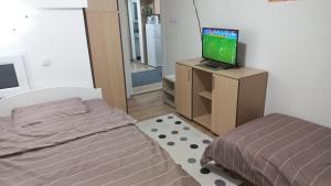 TV i/ili multimedijalni sistem u objektu Kopaonik Apartman Aleksandar