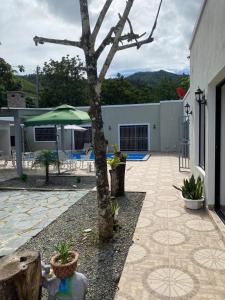 eine Terrasse mit einem Baum und einem grünen Sonnenschirm in der Unterkunft Villa Flor 2022 in Los Plátanos
