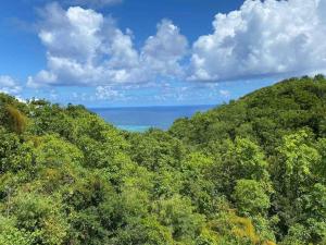 a view of the ocean from a hill with trees at VILLA MELINA in Cadet