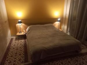 1 dormitorio con 1 cama grande y 2 lámparas en Stefkas apartment2 en Patras