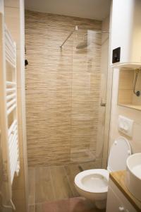 a bathroom with a shower with a toilet and a sink at Nomad Jahorina in Jahorina