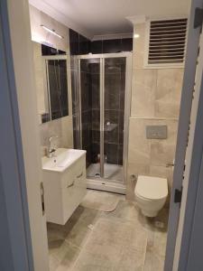La salle de bains est pourvue de toilettes, d'un lavabo et d'une douche. dans l'établissement Charming flat close to bostançi sea, à Istanbul