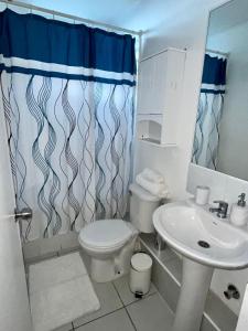 a bathroom with a toilet and a sink at Brisas del sur in Osorno