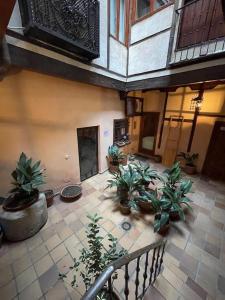 an indoor courtyard with potted plants in a building at Vistas desde la Plata in Toledo
