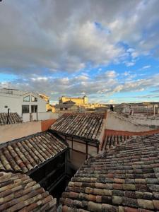 a view of the roofs of an old building at Vistas desde la Plata in Toledo