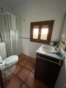 a bathroom with a toilet and a sink at Vistas desde la Plata in Toledo