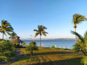 uma vista para uma praia com palmeiras e para o oceano em Departamento amplio y amueblado en Marina Diamante em Acapulco