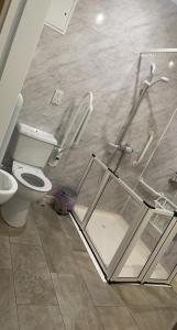 a bathroom with a toilet and a glass shower stall at The Hedges Hotel in Stranocum