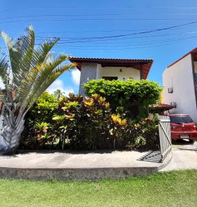 a house with a palm tree and a fence at Casa Vila Verde in Pôrto de Pedras