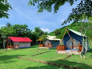 a group of huts in a field with grass at Beach Camp Lombok in Sekotong