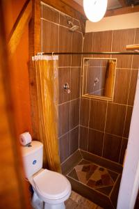 a bathroom with a toilet and a shower at Kimaná Hostal in Santa Rosa de Cabal