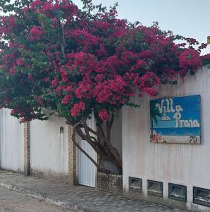 a tree with pink flowers on the side of a building at Villa da Praia in Pipa