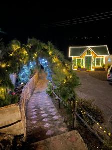 Glamping Domos del Lago外面的花园