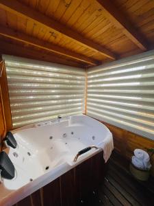 Glamping Domos del Lago的一间浴室