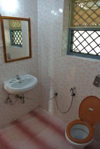 Un baño con inodoro, lavabo y espejo. en Arjun Villa Guest House, en Anjuna