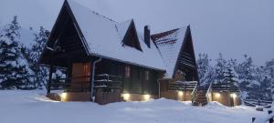 ein schneebedecktes Gebäude mit Lichtern in der Unterkunft Chalet Four Seasons in Zlatibor