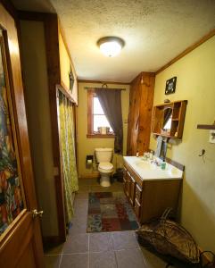 a bathroom with a toilet and a sink at Climb On Inn - Red River Gorge Kentucky - Amazing Home ! 