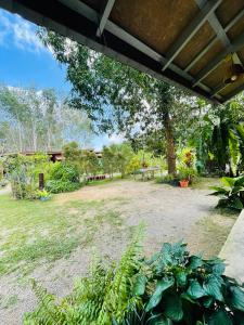a yard with a picnic table and a tree at Lok Mun Bungalows in Ko Yao Noi